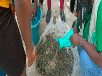 Transforming Organic Waste Into Biogas & Organic Fertilizers