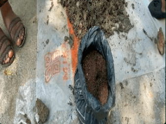 Transforming Organic Waste Into Biogas & Organic Fertilizers