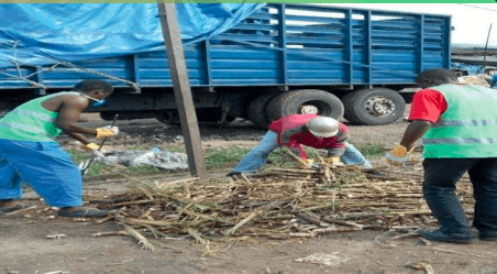 Eco-Charcoal Production from Organic Waste